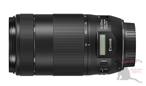 Анонс объектива Canon EF 70-300mm IS II USM ожидается 15 сентября