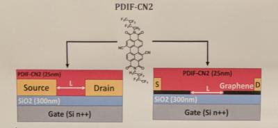 ISOF-CNF-CVD-graphene-OFET-structure_0-i