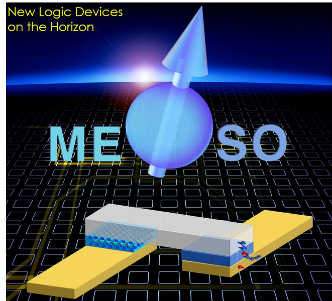 meso_large.jpg