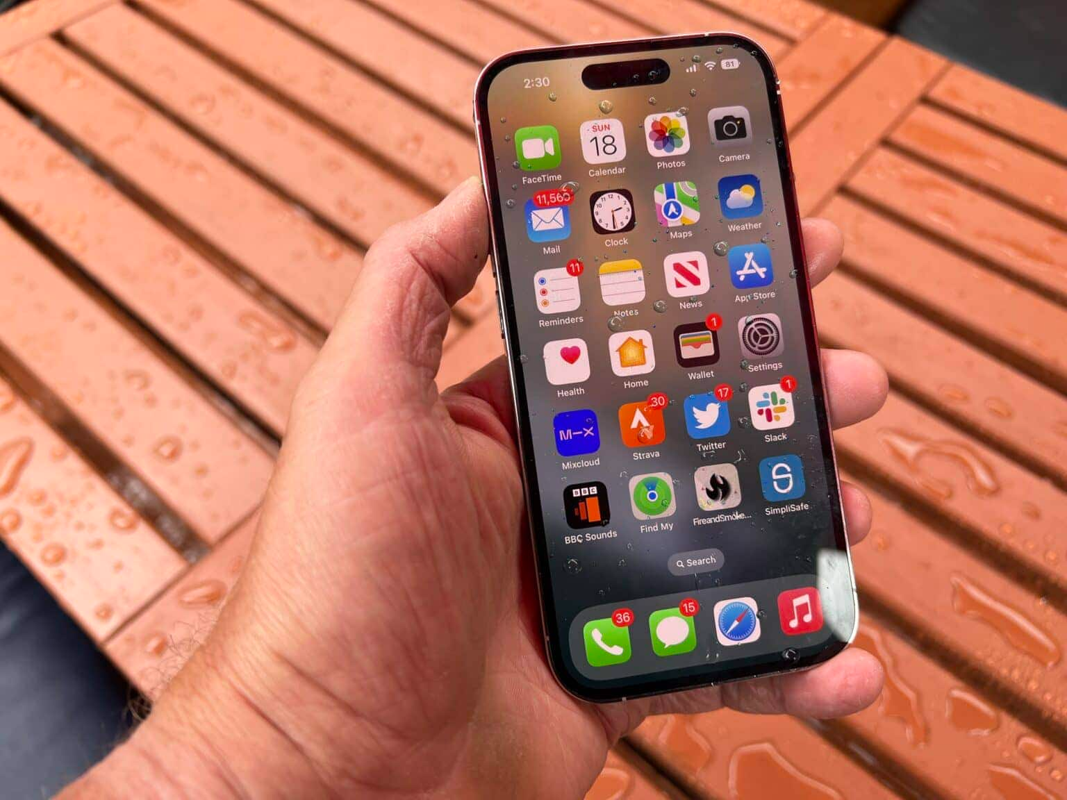 В России продают новые iPhone без Touch ID
