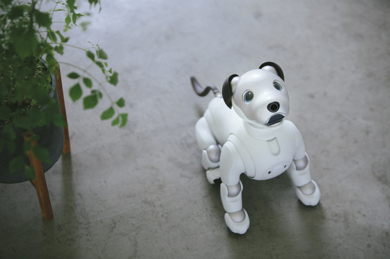 Новый робот-собака Sony Aibo выходит за пределы Японии