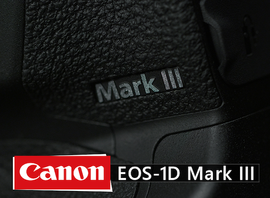 Стали известны многие спецификации зеркальной фотокамеры Canon EOS 1D X Mark III