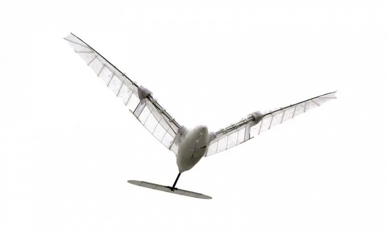Дрон, который летает как птица, установил мировой рекорд по продолжительности полета