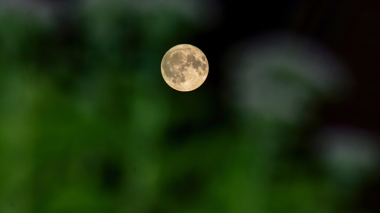 «Кровавое суперлуние» и «Громовая Луна»: впечатляющие фото со всей Земли и с борта МКС