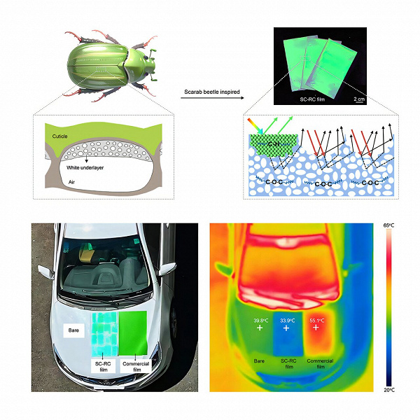 Китайские исследователи разработали плёнку с охлаждающим эффектом и структурной окраской