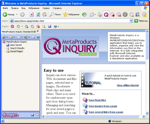 Рабочее окно Internet Explorer 6 с дополнительными панелями Inquiry Standard Edition